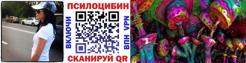 Псилоцибиновые грибы мицелий  omg зеркало  Грязи  как найти наркотики 